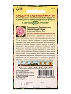 Семена цветов Гелихризум Серебряная роза* 0,01 г DH - Фото 2