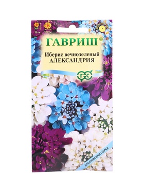 Семена цветов Иберис Александрия 0,1 г серия Альпийская горка DH