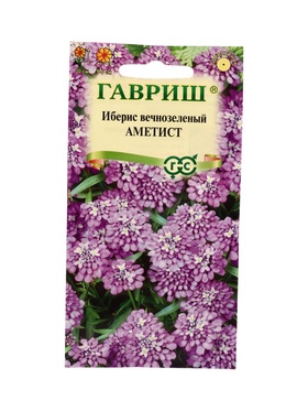 Семена цветов Иберис Аметист 0,1 г DH