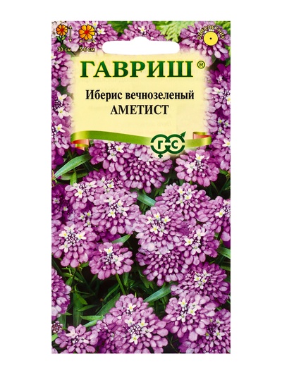 Семена цветов Иберис Аметист 0,1 г DH