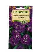 Семена цветов Иберис Гранат 0,1 г 10965348