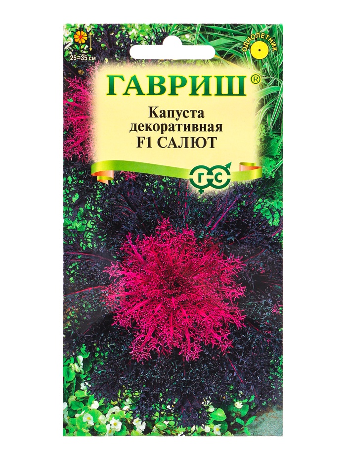 Семена цветов Капуста декоративная «Салют» F1, 6 шт. - Фото 1