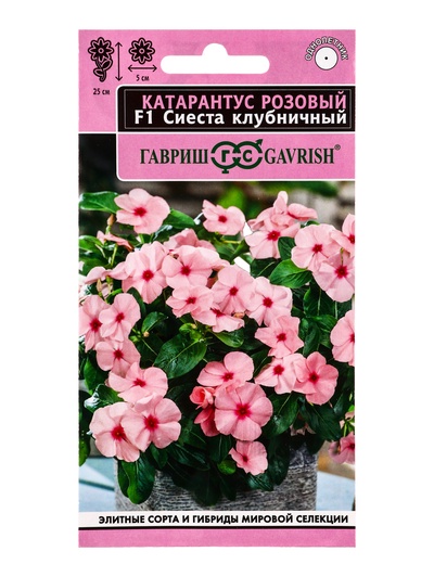 Семена цветов Катарантус Сиеста клубничный F1* 5 шт.