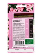 Семена цветов Катарантус Сиеста клубничный F1* 5 шт. - фото 809451071
