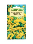 Семена цветов Кермек (Лимониум) выемчатый Бондуели* 0,05 г 10965359