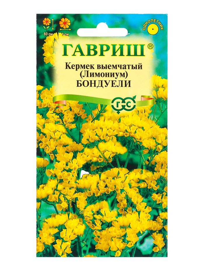 Семена цветов Кермек (Лимониум) выемчатый Бондуели 0.05 г