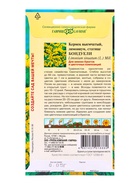 Семена цветов Кермек (Лимониум) выемчатый Бондуели* 0,05 г  (артикул 10965359)  большой выбор товаров оптом и в розницу по низким ценам с доставкой