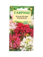 Семена цветов Клеоме Матильда (колючая) смесь 0,2 г 10965361
