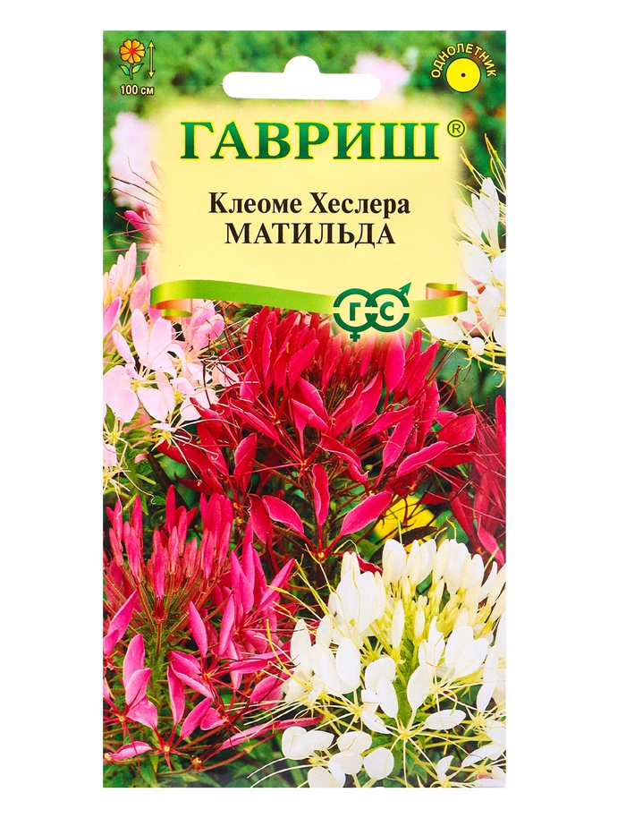 Семена цветов Клеоме Матильда (колючая) смесь 0,2 г