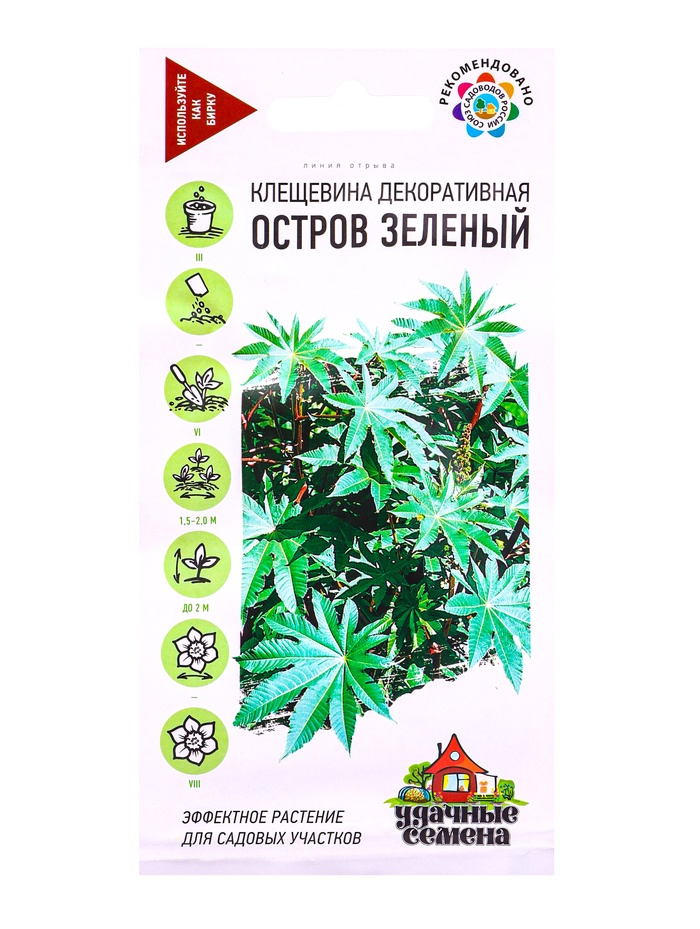 Семена цветов Клещевина Остров Зеленый  5 шт. Уд. с. DH - Фото 1