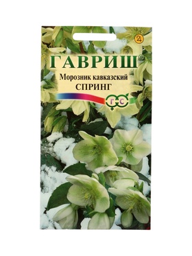 Семена цветов Морозник кавказский Спринг (лимонно-зеленый)* 0,1 г DHп