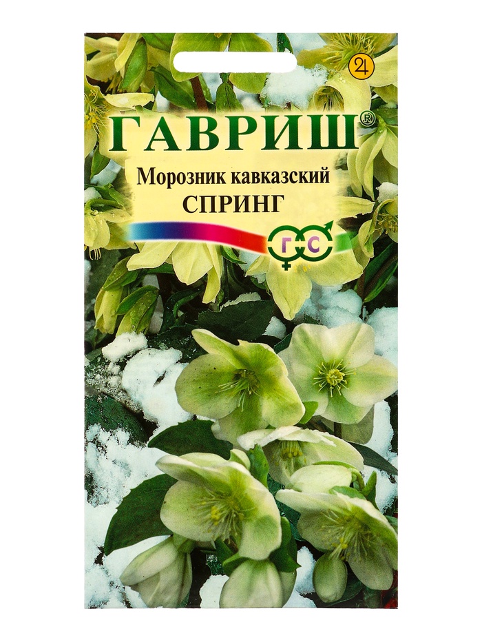 Семена цветов Морозник кавказский Спринг (лимонно-зеленый)* 0,1 г DHп