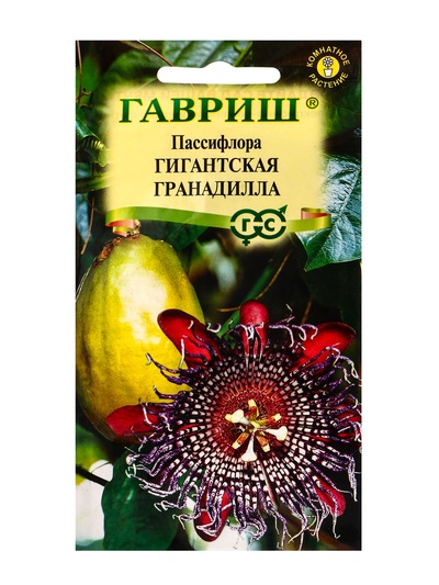 Семена цветов Пассифлора Гигантская гранадилла (четырехгранная)* 3 шт.
