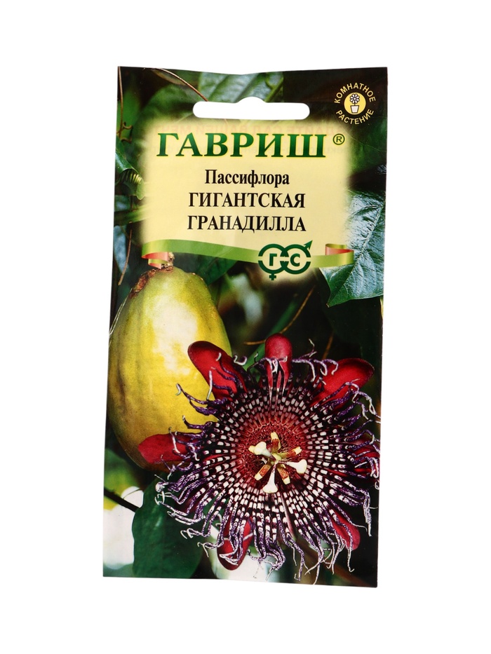 Семена цветов Пассифлора Гигантская гранадилла (четырехгранная)* 3 шт. - Фото 1