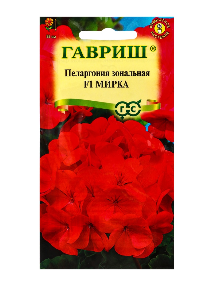 Семена цветов Пеларгония зональная «Мирка» F1, 4 шт. - Фото 1