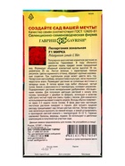 Семена цветов Пеларгония Мирка F1 зональная* 4 шт. - фото 809451105