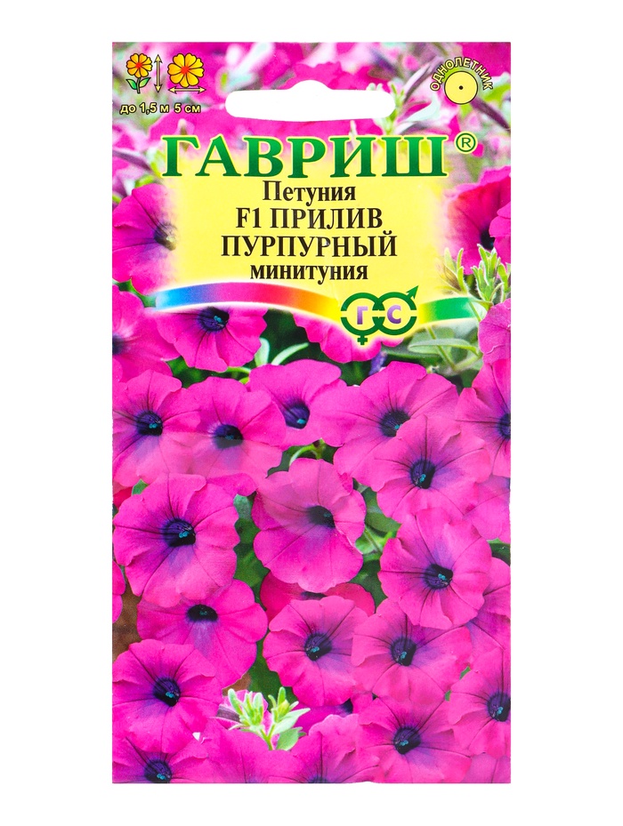 Семена цветов Петуния Прилив Пурпурный F1 (Минитуния) суперкаскад. 4 шт. гранул. проб. серия Элитная