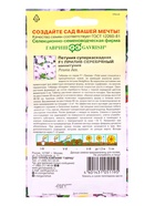 Семена цветов Петуния Прилив Серебряный F1 (Минитуния) суперкаскад. 4 шт. гранул. проб. серия Элитна - фото 809451117