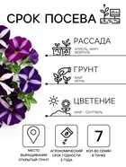 Семена цветов Петуния «Хиросис синяя с белым» F1, крупноцветковая, гранулы, 7 шт. - Фото 2