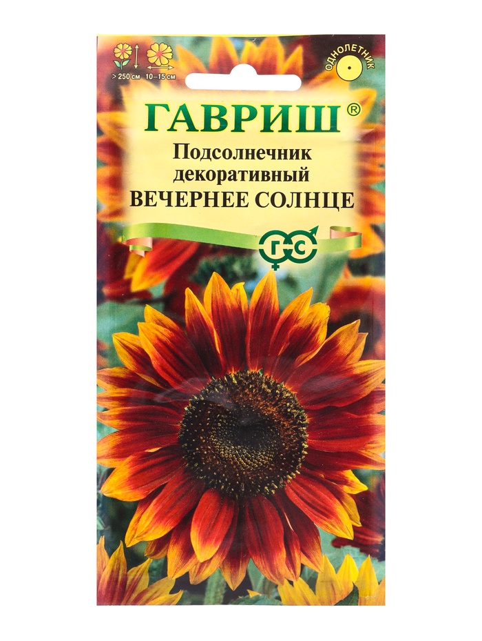 Семена цветов Подсолнечник декоративный Вечернее солнце 0,5 г - Фото 1