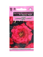 Семена цветов Портулак Текила Черри F1* 5 шт. серия Элитная клумба 10965409