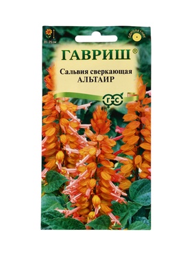 Семена цветов Сальвия Альтаир*, карликовая 4 шт.