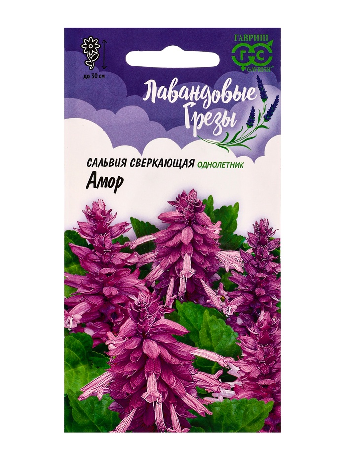 Семена цветов Сальвия Амор*  4 шт. серия Лавандовые грёзы