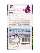 Семена цветов Сальвия Амор*  4 шт. серия Лавандовые грёзы - фото 809451145