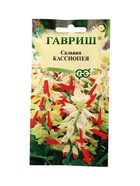 Семена цветов Сальвия Кассиопея*, карликовая  4 шт. 10965418