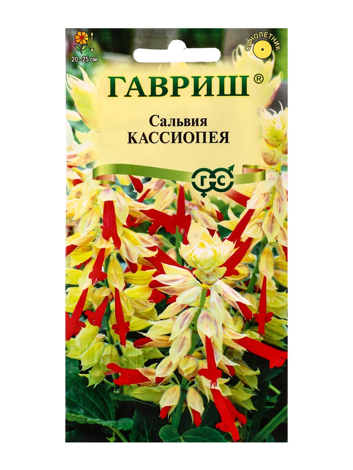 Семена цветов Сальвия Кассиопея*, карликовая  4 шт.