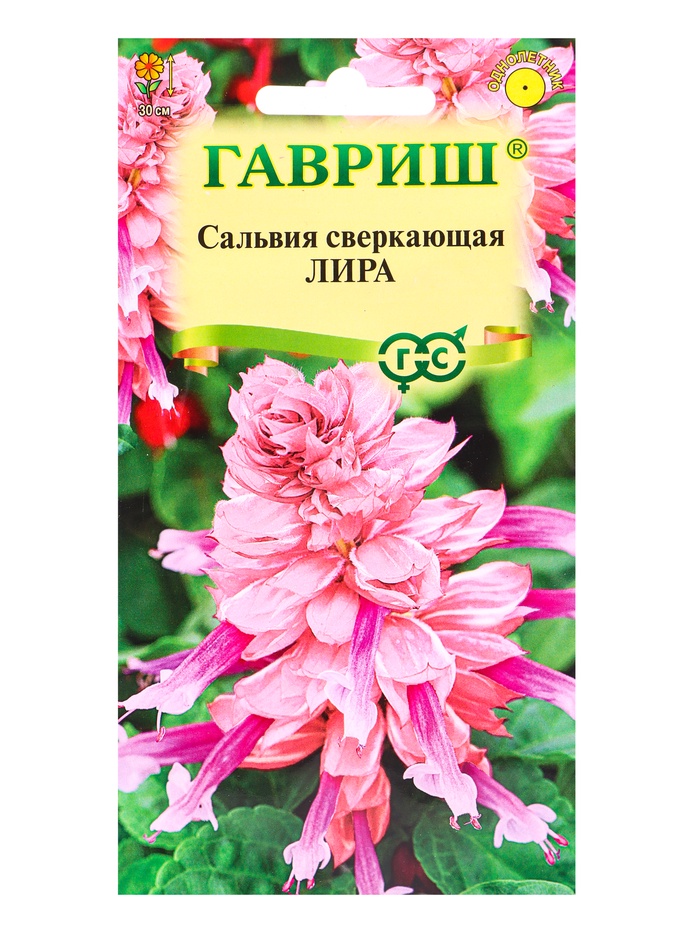 Семена цветов Сальвия сверкающая «Лира» 4 шт. - Фото 1