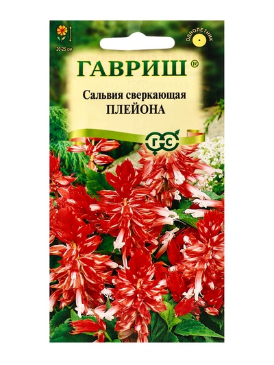 Семена цветов Сальвия Плейона* карликовая 4 шт.