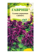Семена цветов Сальвия Сириус,* карликовая 4 шт. 10965423