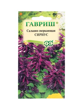 Семена цветов Сальвия Сириус,* карликовая 4 шт.