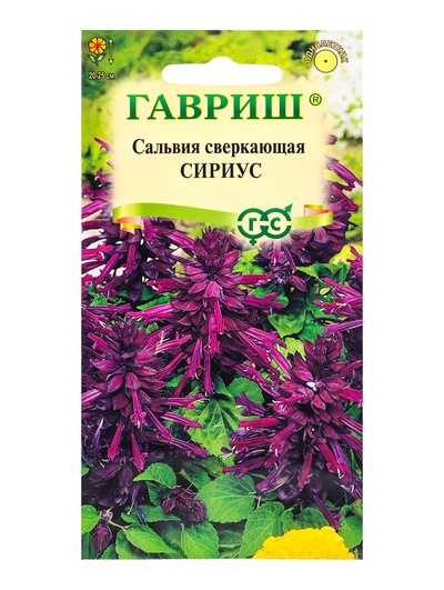 Семена цветов Сальвия Сириус,* карликовая 4 шт.