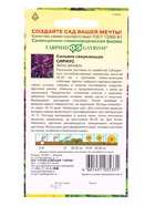 Семена цветов Сальвия Сириус,* карликовая 4 шт. - фото 809451154