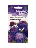 Семена цветов Скабиоза пурпурная Лавандовая леди, махр. 0,2 г  Серия Лавандовые грёзы DH 10965425