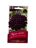 Семена цветов Скабиоза пурпурная Чёрное манто, махр. 0,2 г серия Блэк DH 10965428
