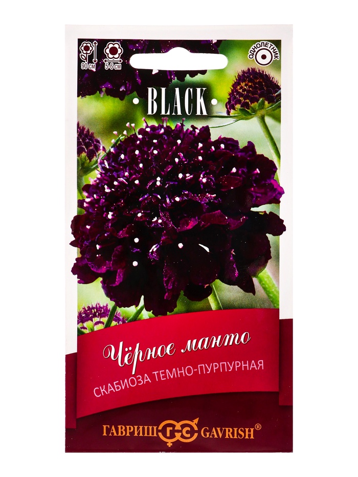 Семена цветов Скабиоза пурпурная Чёрное манто, махр. 0,2 г серия Блэк DH