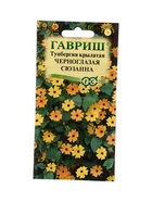 Семена цветов Тунбергия крылатая Черноглазая Сюзанна 0,3 г 10965431