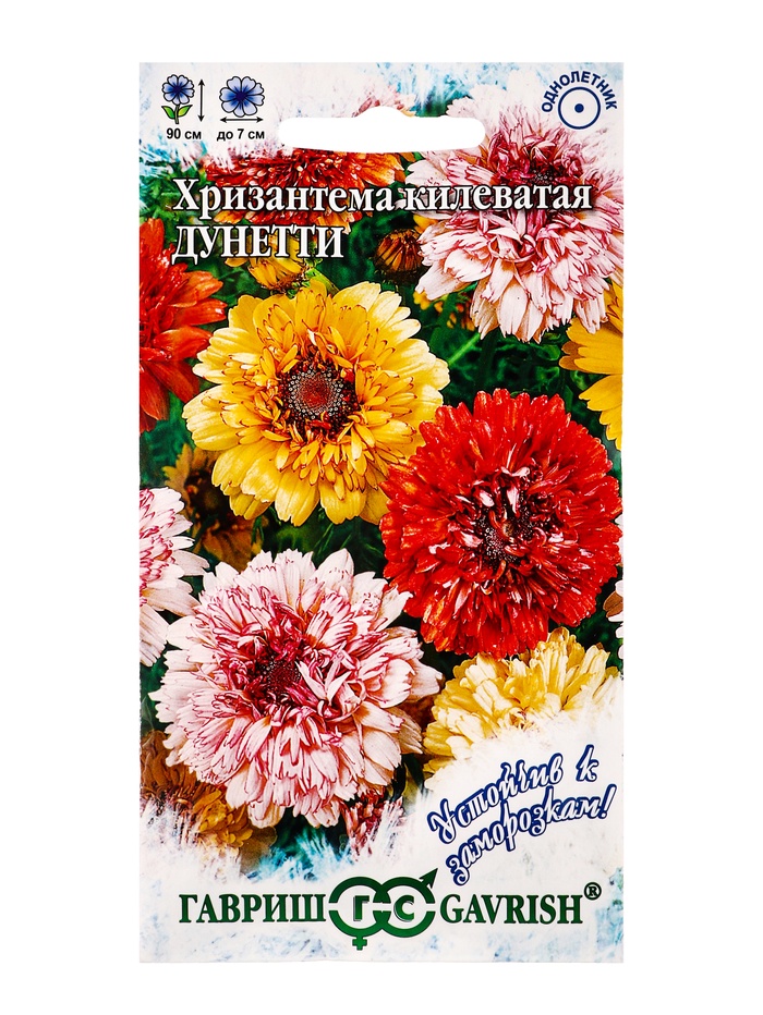 Семена цветов Хризантема килеватая «Дунетти» махровая, 0.5 г - Фото 1