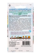 Семена цветов Хризантема килеватая «Дунетти» махровая, 0.5 г - Фото 2