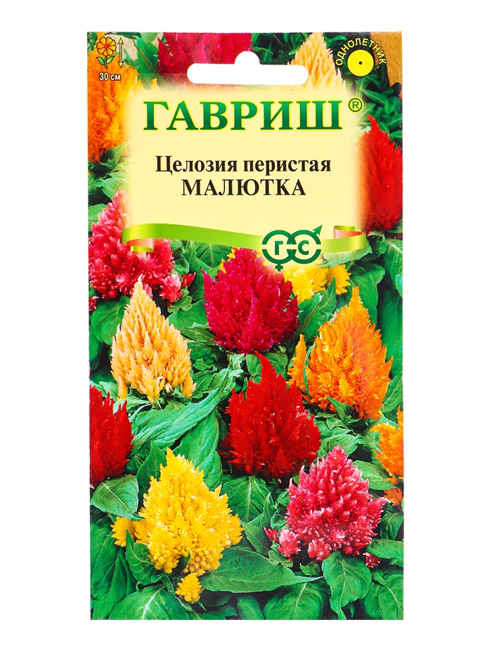 Семена цветов Целозия перистая «Малютка» смесь 0.01 г - Фото 1