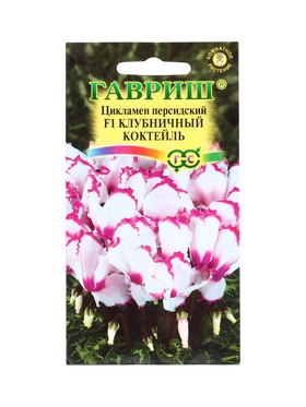 Семена цветов Цикламен Клубничный коктейль, персидский, ароматный * 3 шт.