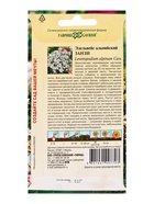 Семена цветов Эдельвейс альпийский Занзи* 0,01 г серия Альпийская горка  (артикул 10965447)  большой выбор товаров оптом и в розницу по низким ценам с доставкой