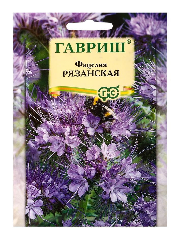 Семена Фацелия Рязанская (сидерат), больш. пак. 20 г