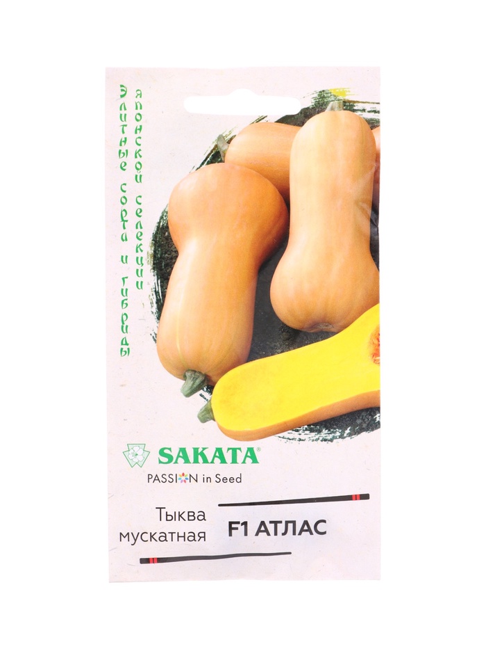 Семена Тыква Атлас F1, мускатная 5 шт.(Саката) - Фото 1