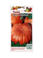 Семена Тыква Красавица 1,0 г 10965275