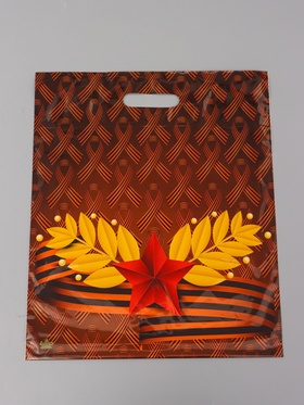 Пакет подарочный Воля  45 х 38 см 55 мкм