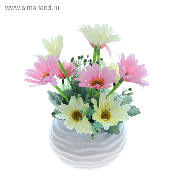 композиция 20 см горшок овал волна герберы - Фото 1